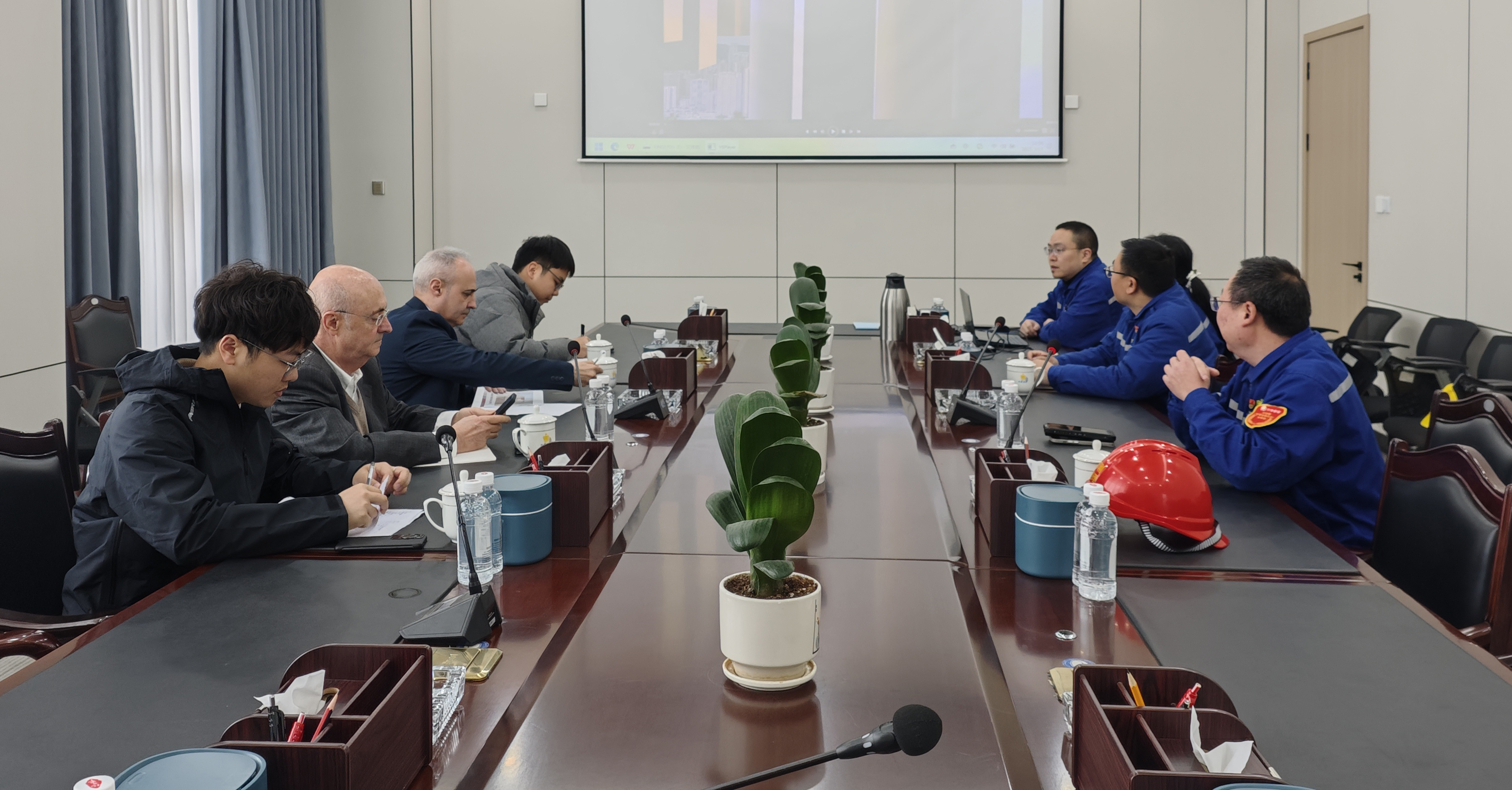 Xingfa Jinguan Hosts Spanish Industrial Group: Focusing on DMSO Quality Management and Technical Standards